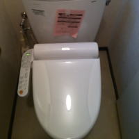 �s�n�s�n�̐ߐ��g�C��